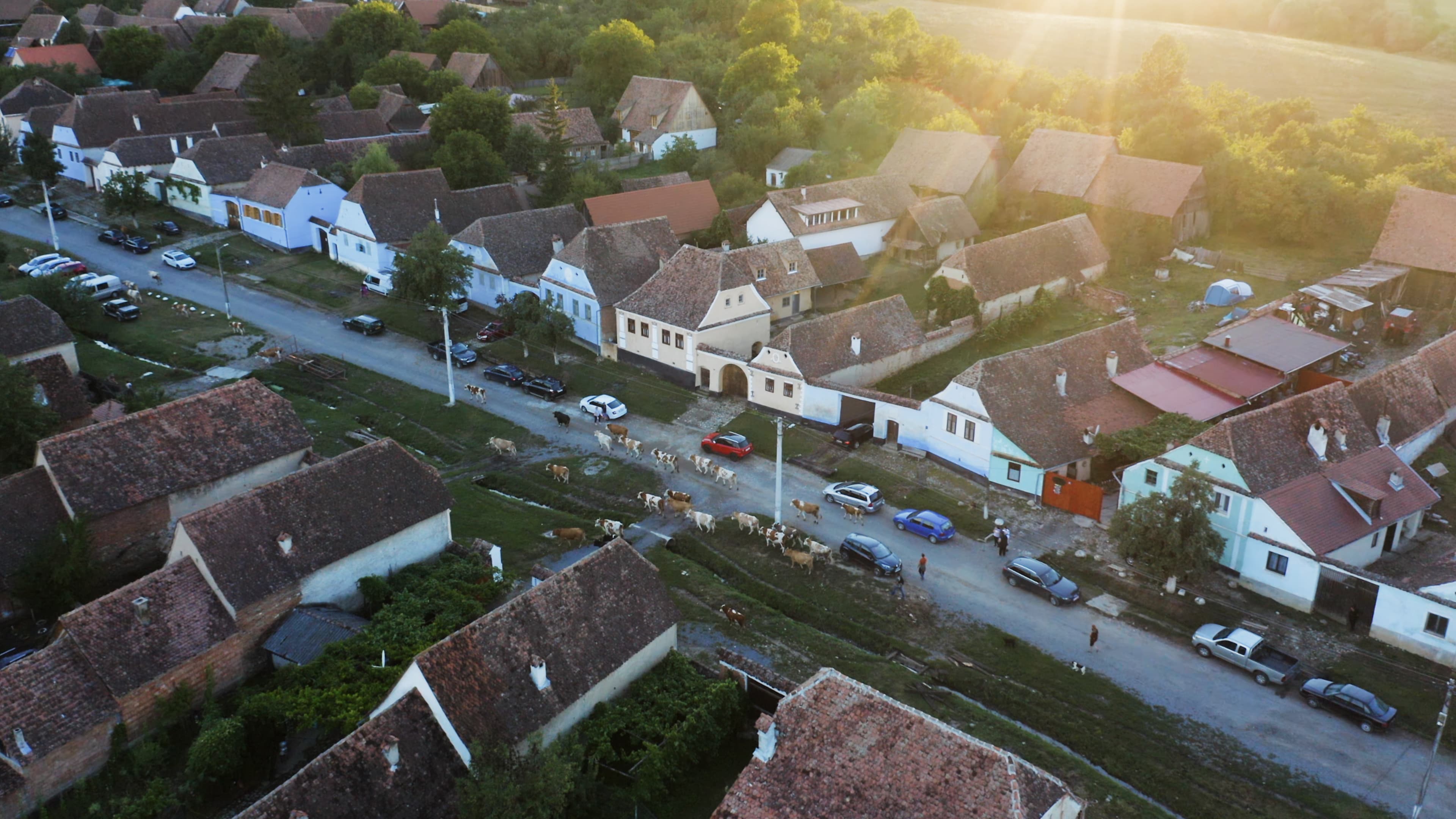 Transylvanian Village