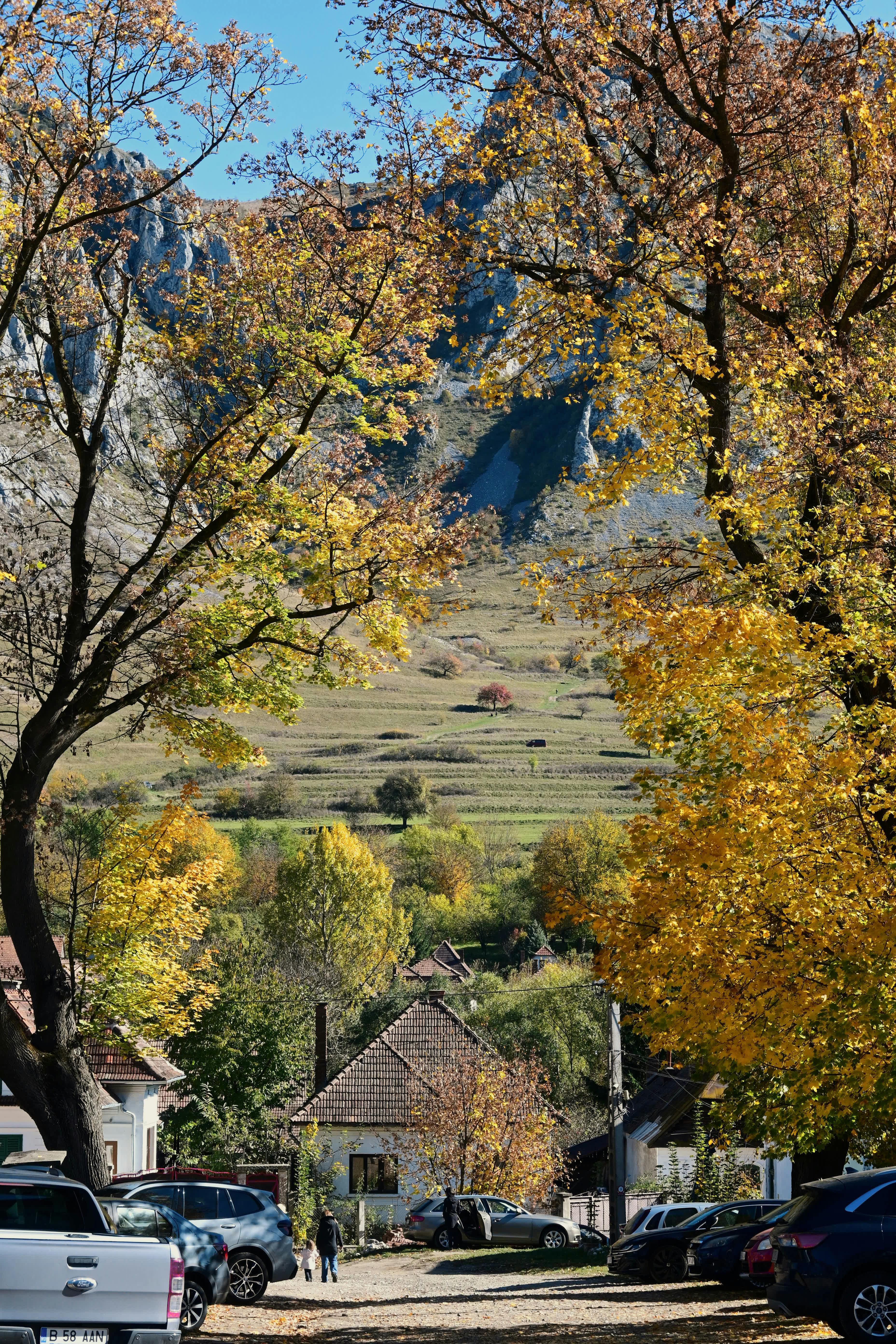 THE SHEPHERD’S ROAD NOBODY MAPS