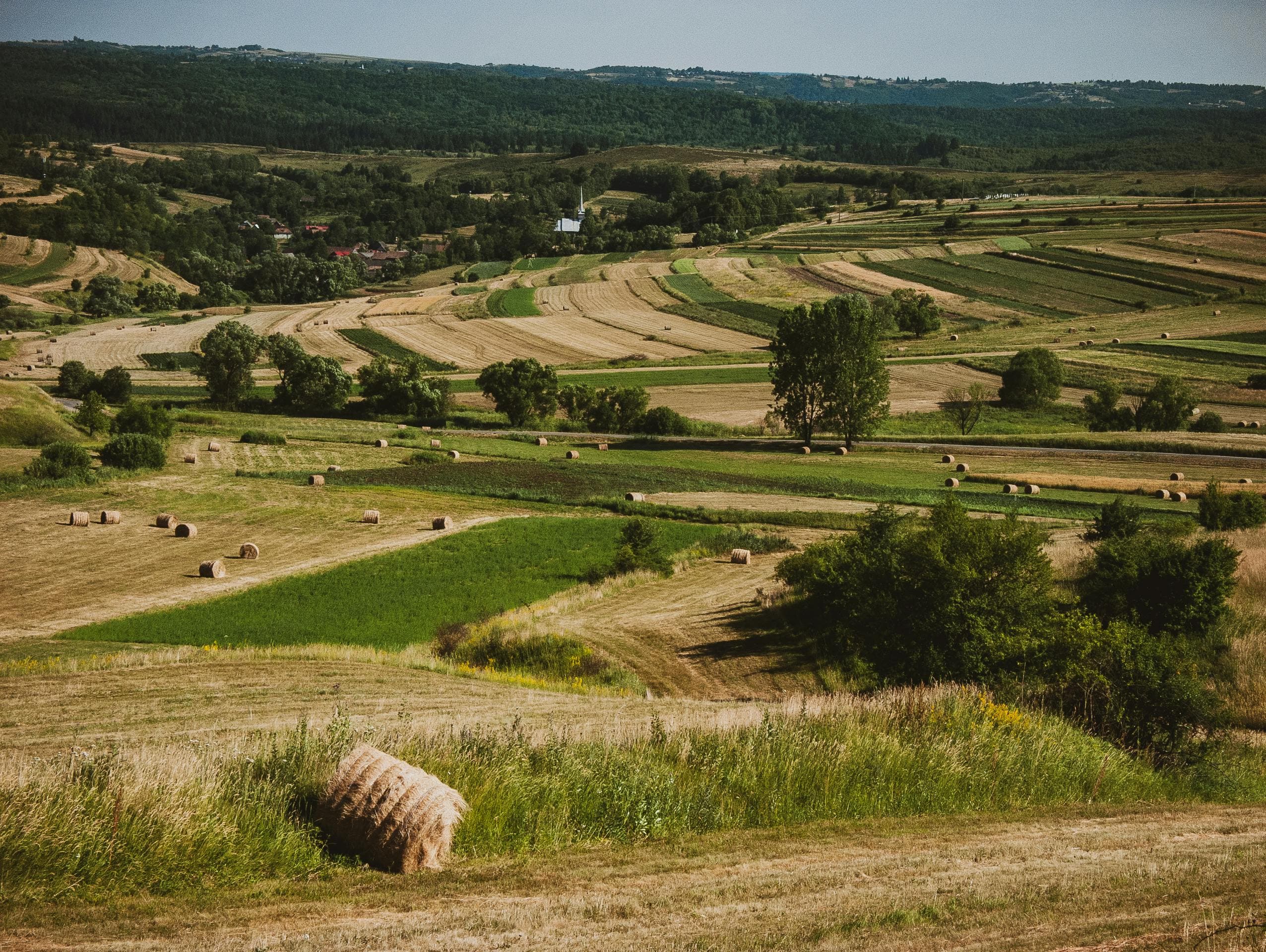 Rolling Transylvanian hills and hay fields